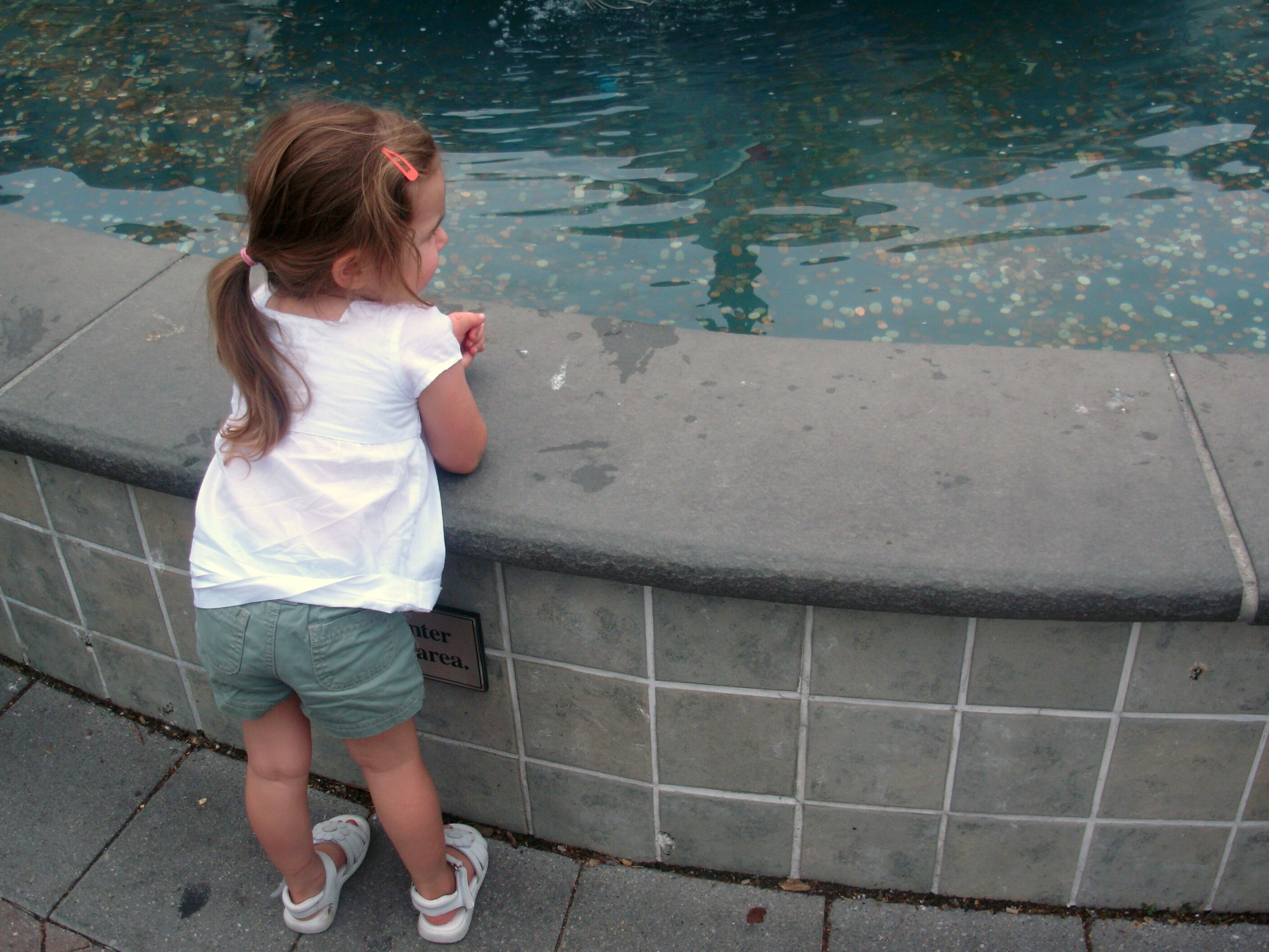 No more tossing coins into fountains. It's time to get real. Image by moesizlak7.